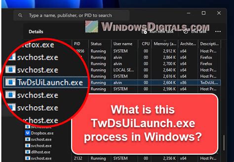 TwDsUiLaunch.exe Processo Windows